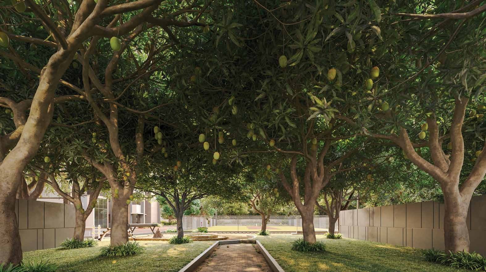 Artist's impression of the Amrapali mango tree orchard in the green belt